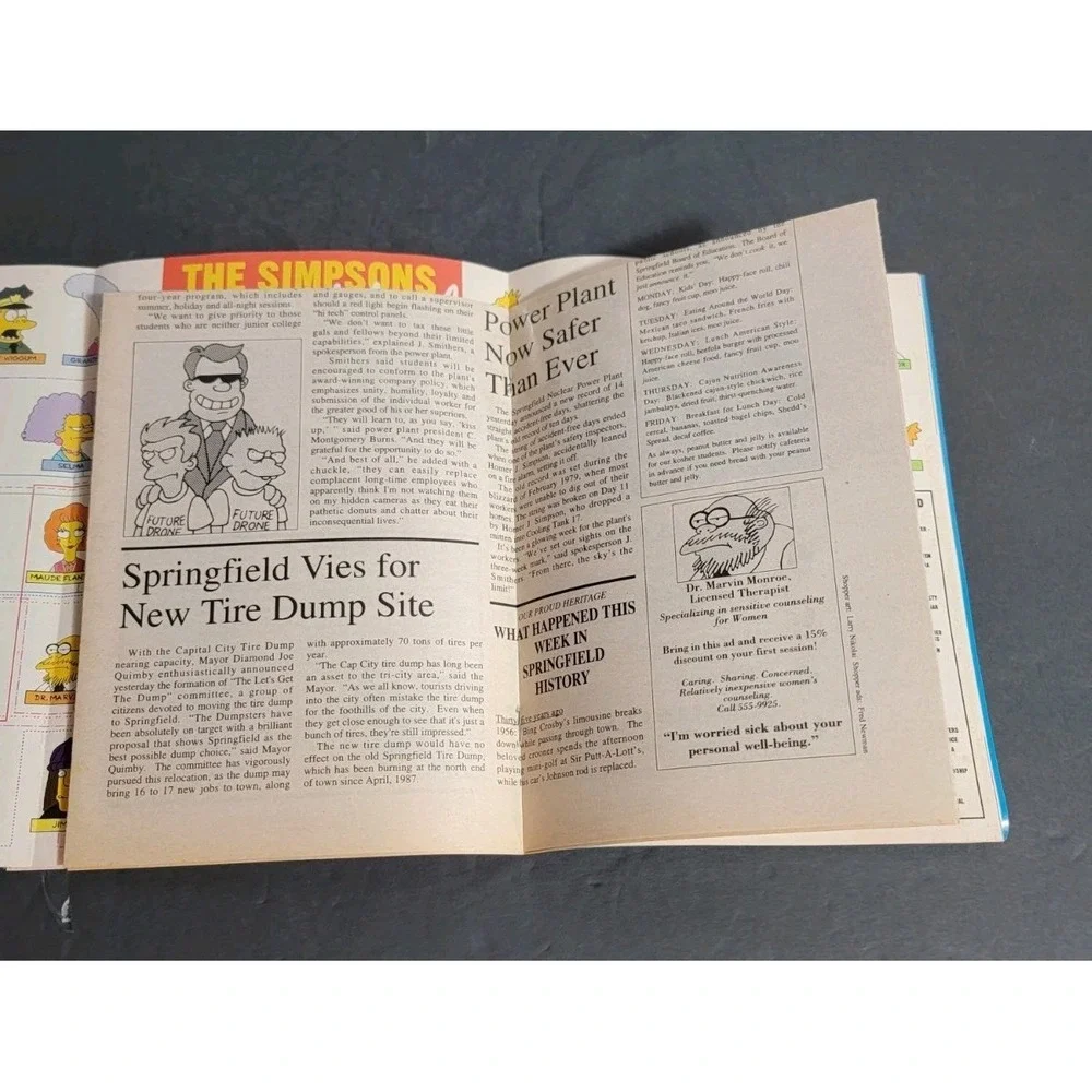 Vintage 1991 Simpsons Illustrated Magazine Premiere Issue